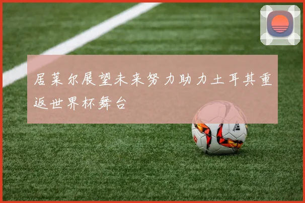 居莱尔展望未来努力助力土耳其重返世界杯舞台