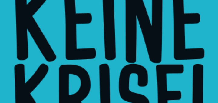 Vergeude keine Krise